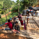 India Elephant Evictors